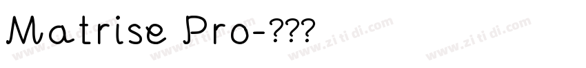 Matrise Pro字体转换